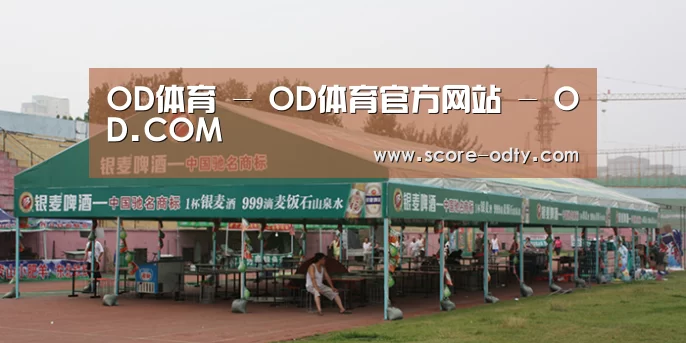案例标题七